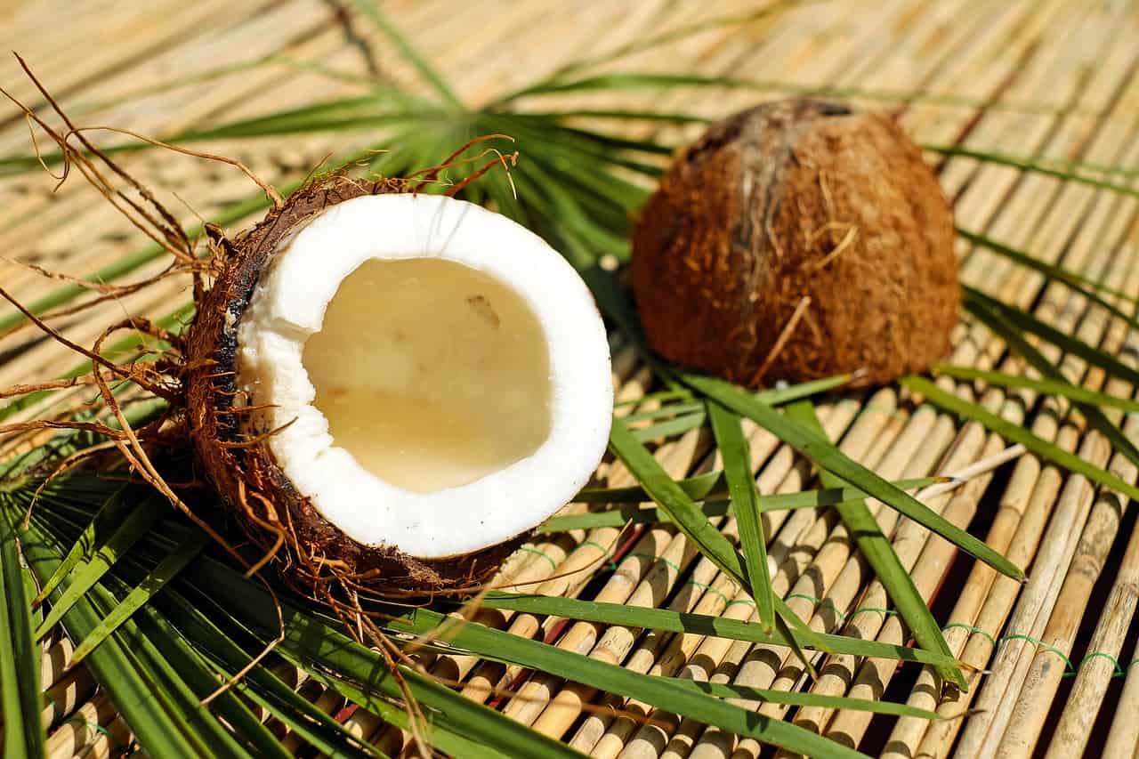 Coconut  