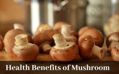 Benefits of mushroom