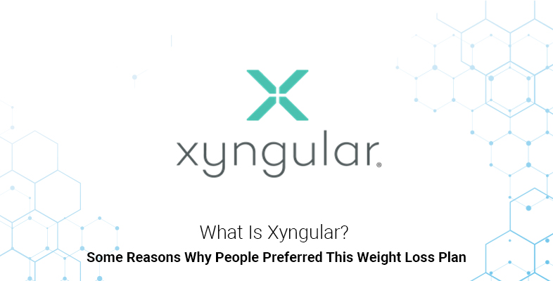 What Is Xyngular