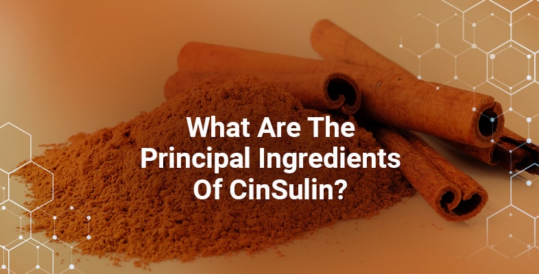What Are The Principal Ingredients Of CinSulin
