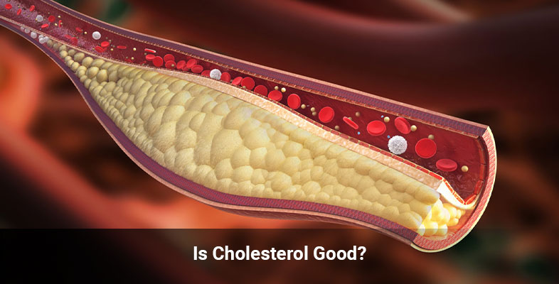 Is Cholesterol Good