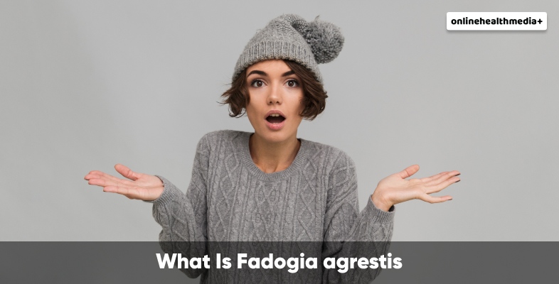 What Is Fadogia agrestis