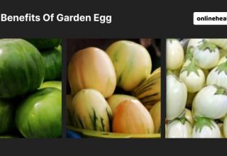 health benefits of garden egg