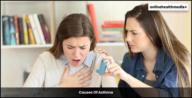Causes Of Asthma