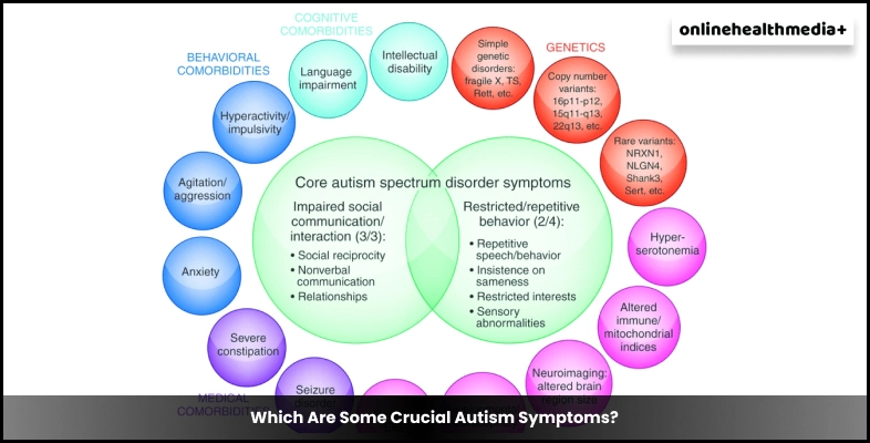 Which Are Some Crucial Autism Symptoms