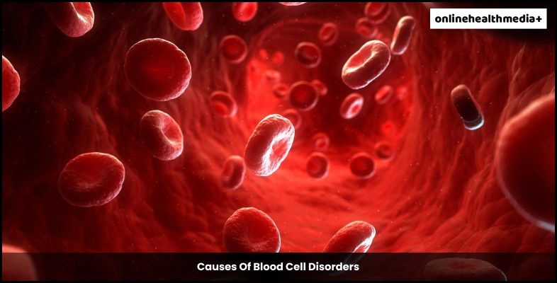 Causes Of Blood Cell Disorders