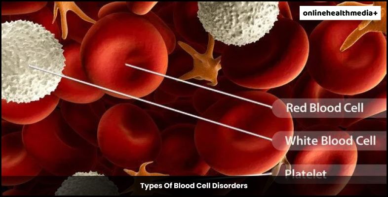 Types Of Blood Cell Disorders