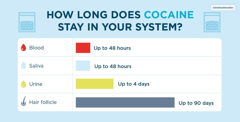 how long does cocaine stay in urine
