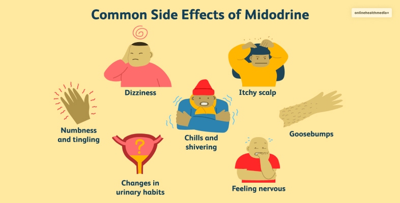 Midodrine Side Effects