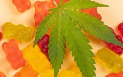 What Are CBD Gummies