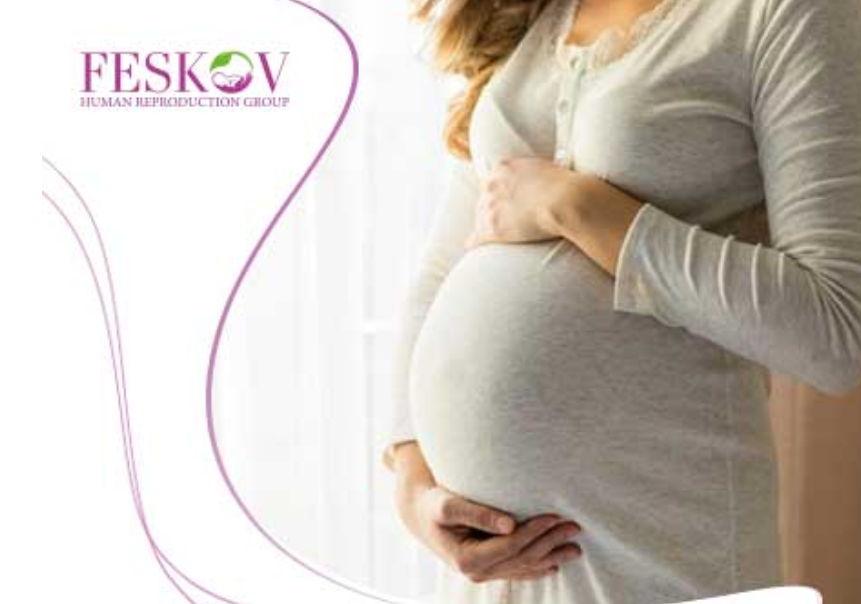 Egg Donor Acceptance Process