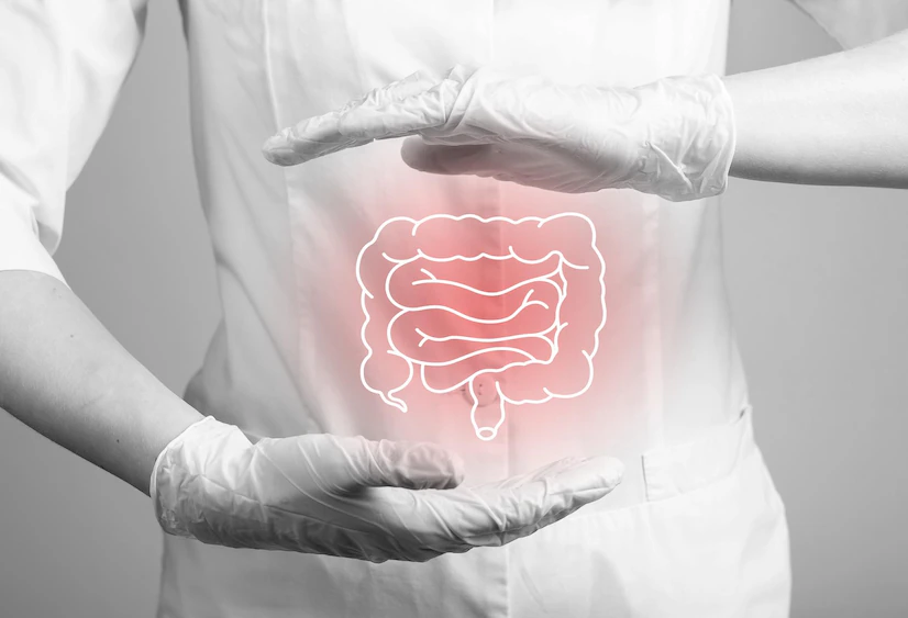 Unraveling The Gut Health Enigma