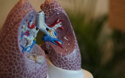 Mesothelioma vs. Lung Cancer